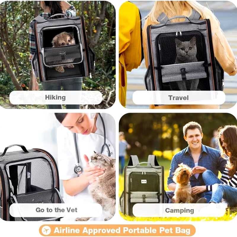 Expandable Pet Backpack for Cats & Puppies