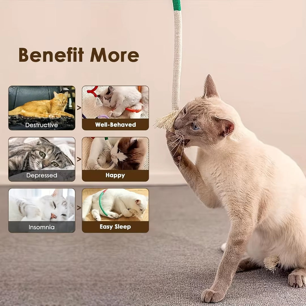 Cotton Cat Chew Toy – Fun & Healthy Playtime