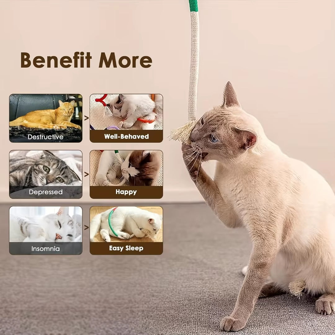 Cotton Cat Chew Toy – Fun & Healthy Playtime
