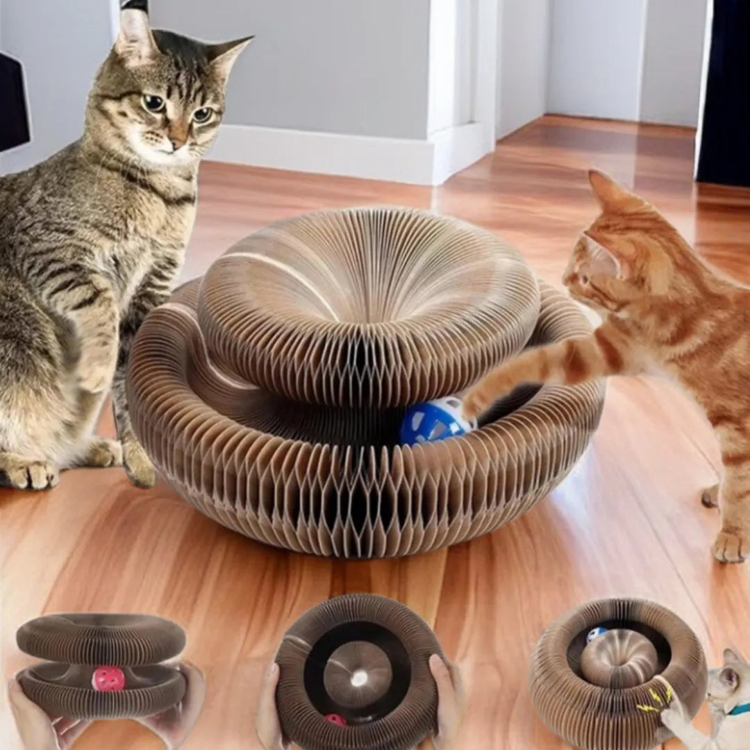 Magic Cat Scratch & Climb Toy - Interactive Corrugated Scratching Board with Ball for Happy Kittens