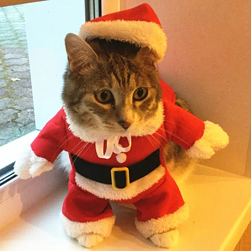 Funny Santa Cat Costume – Holiday Outfit for Pets