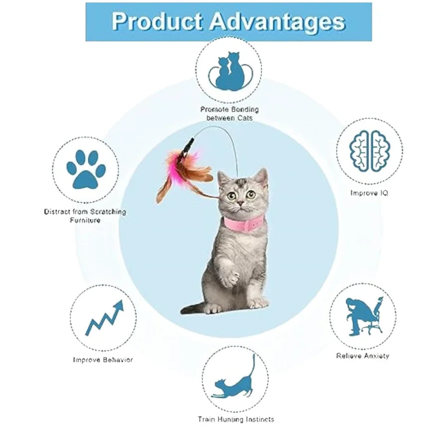 Interactive Cat Collar Toy with Feather & Bell