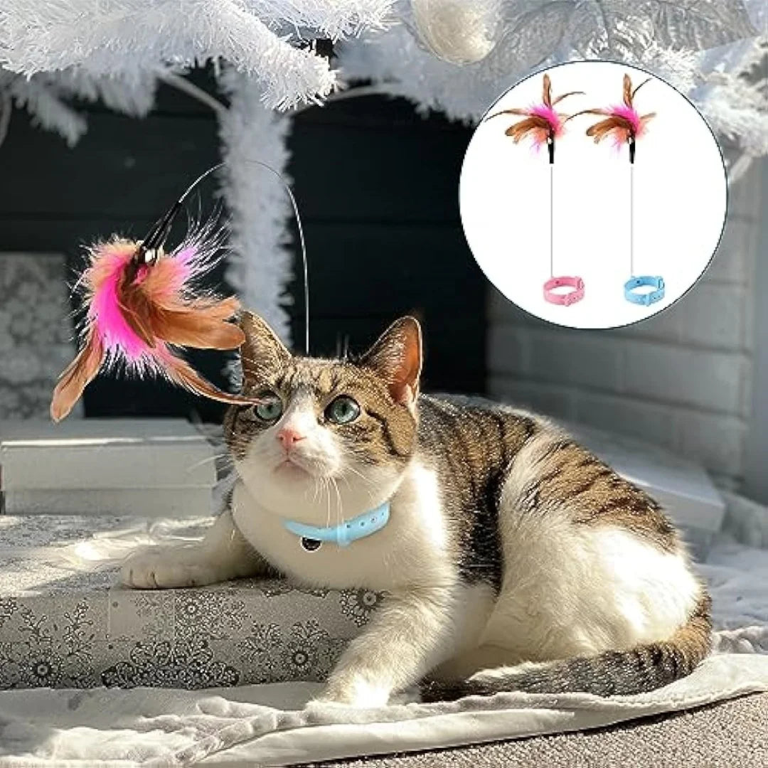 Interactive Cat Collar Toy with Feather & Bell