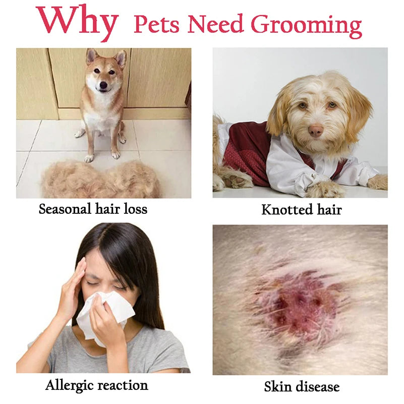 Professional Pet Deshedding Brush – Dog & Cat