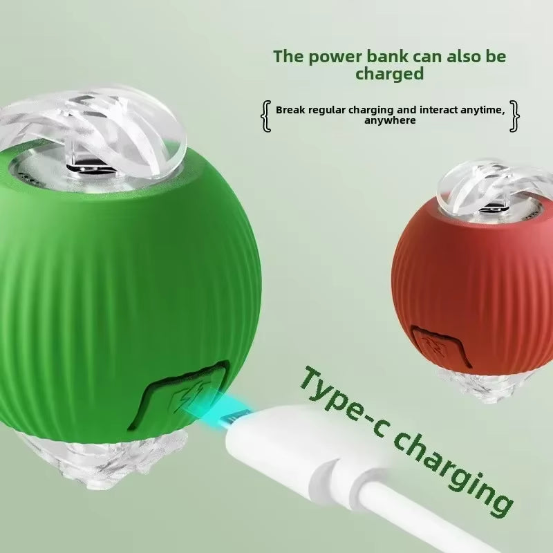 Interactive Rolling Pet Toy – Electric Tail Ball