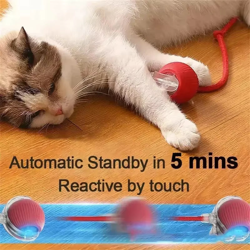 Interactive Rolling Pet Toy – Electric Tail Ball