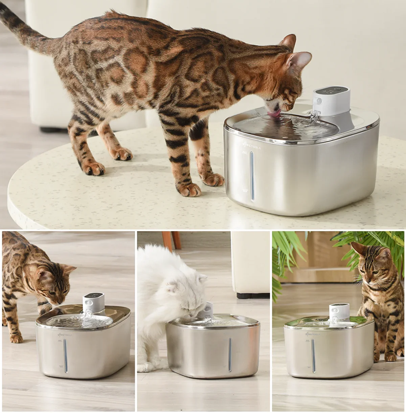 4L Wireless Cat Water Fountain – Auto Sensor