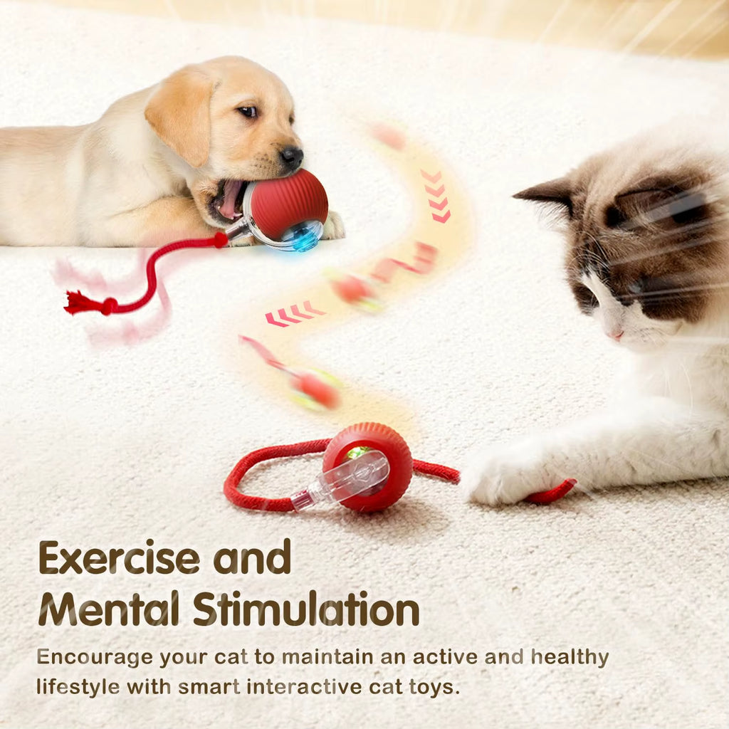 Smart Interactive Cat Ball Toy – Rechargeable