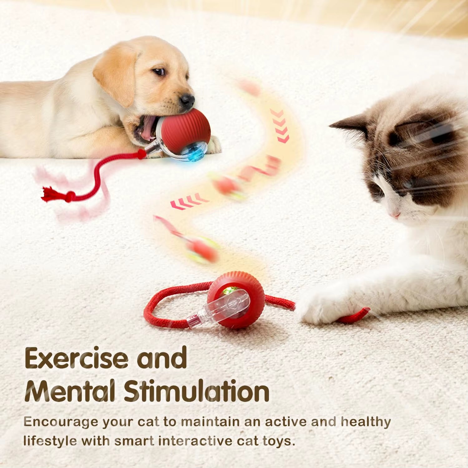 Smart Interactive Cat Ball Toy – Rechargeable