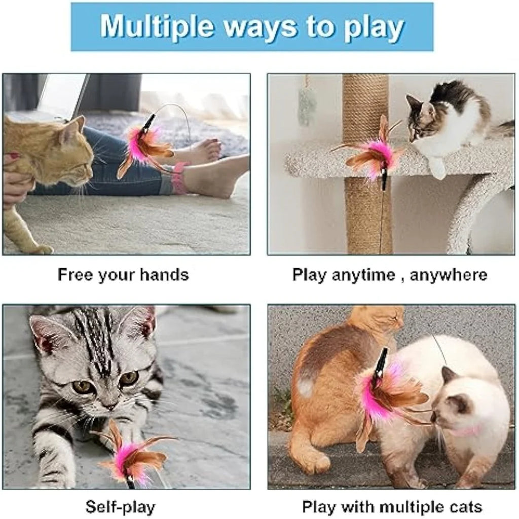Interactive Cat Collar Toy with Feather & Bell