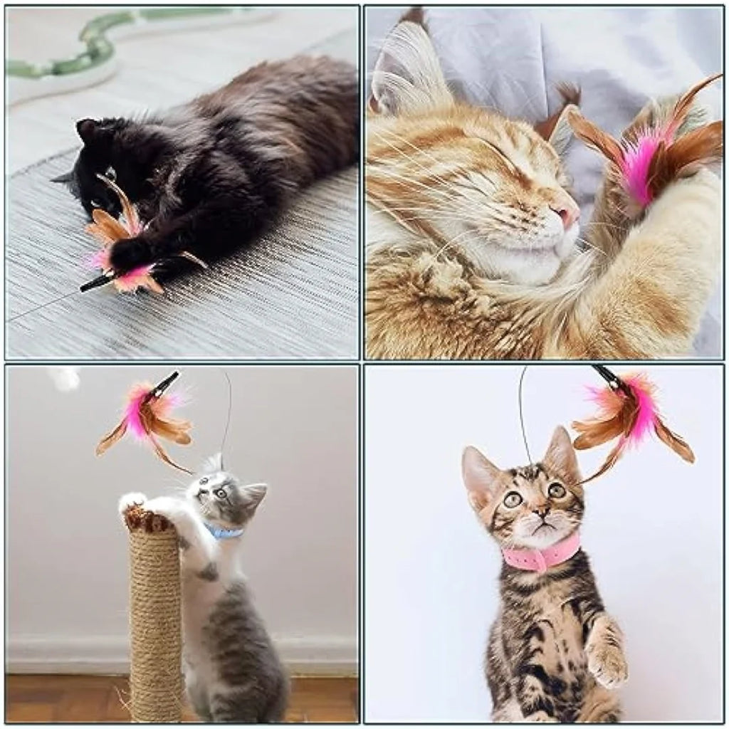 Interactive Cat Collar Toy with Feather & Bell