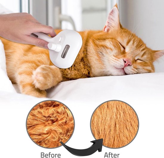 3-in-1 Cat & Dog Steam Brush – Hair Removal & Massage