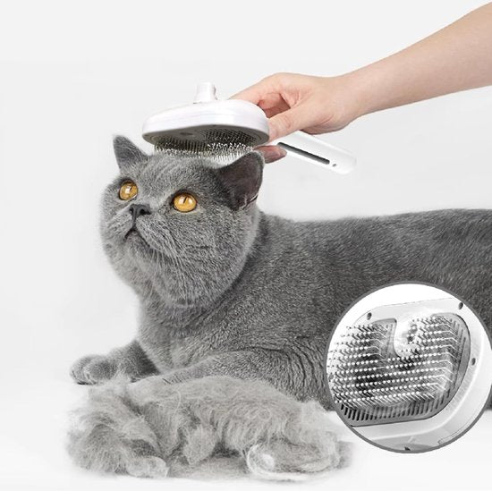 3-in-1 Cat & Dog Steam Brush – Hair Removal & Massage