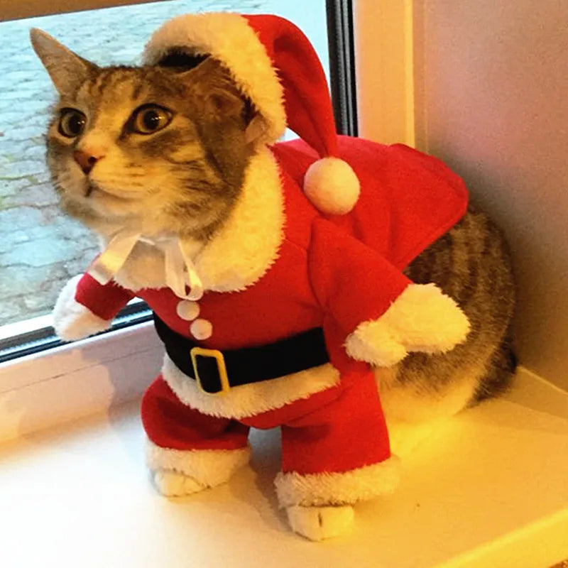 Funny Santa Cat Costume – Holiday Outfit for Pets
