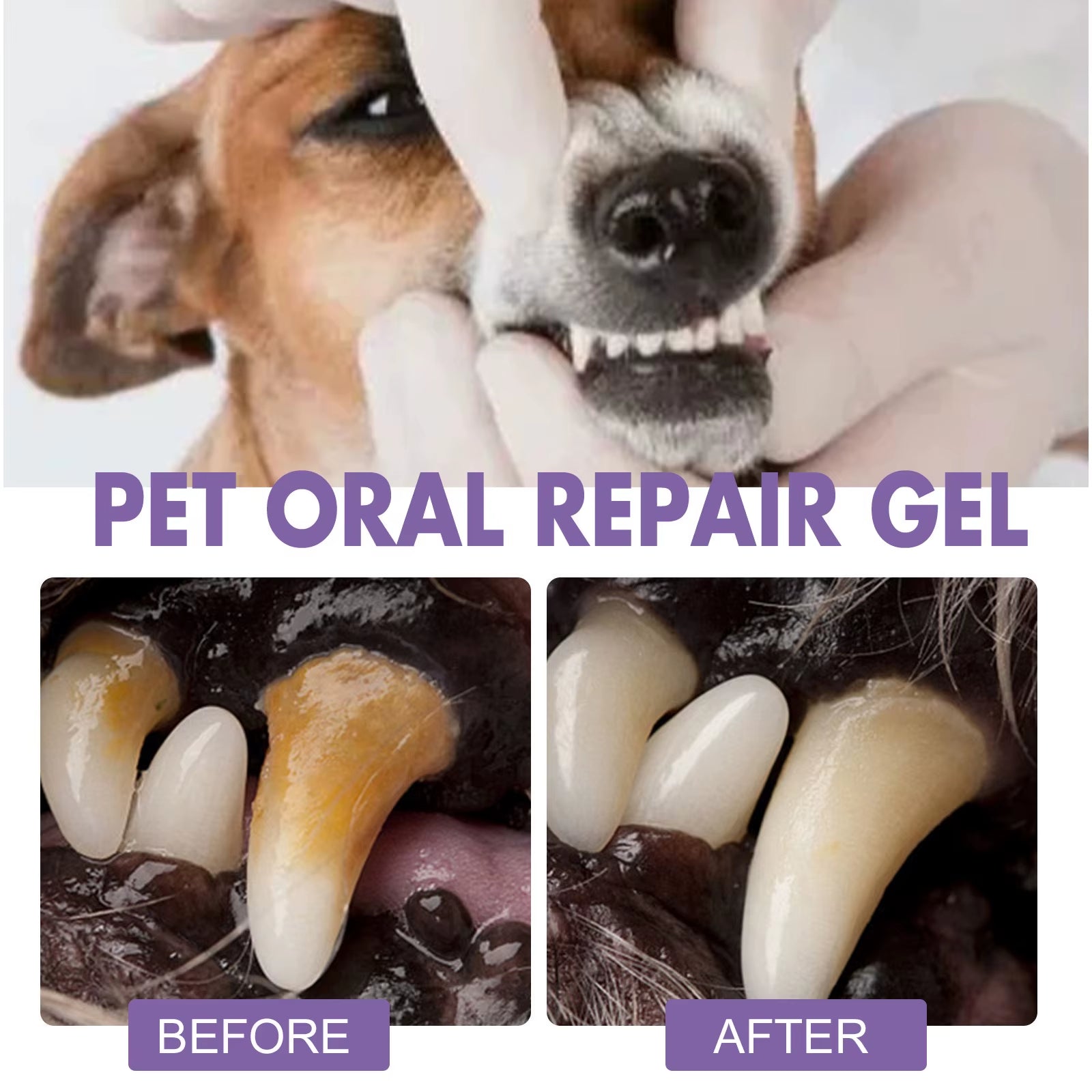 Pet Teeth Cleaning Gel – Tartar & Odor Remover