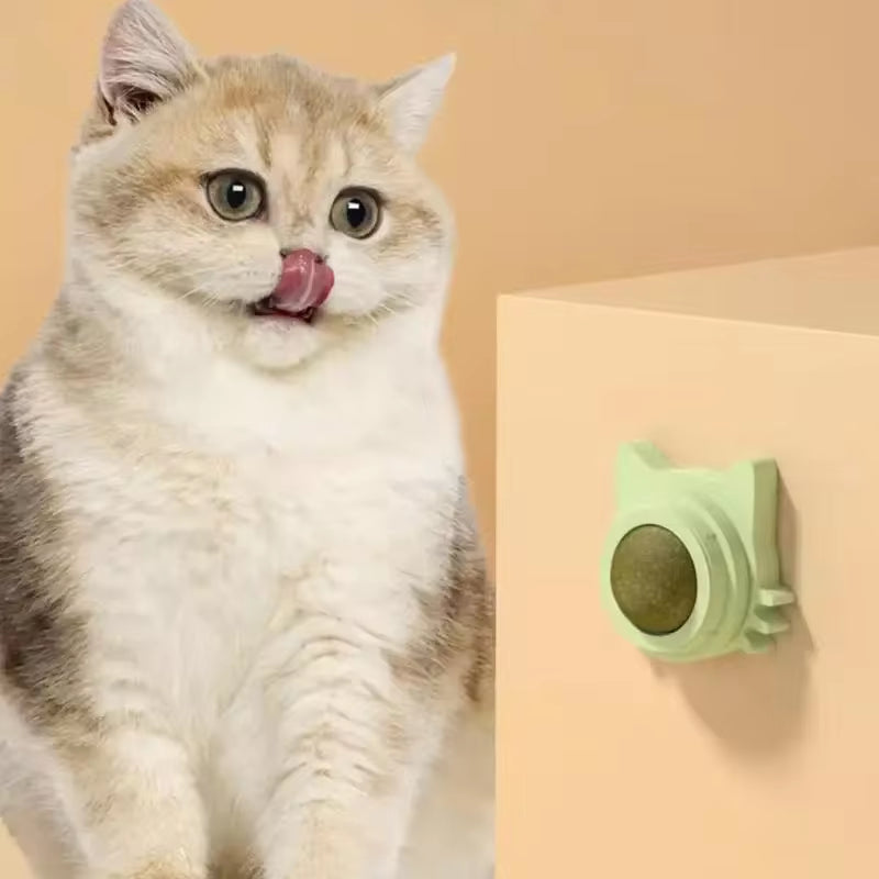 Interactive Catnip Balls for Small & Medium Cats