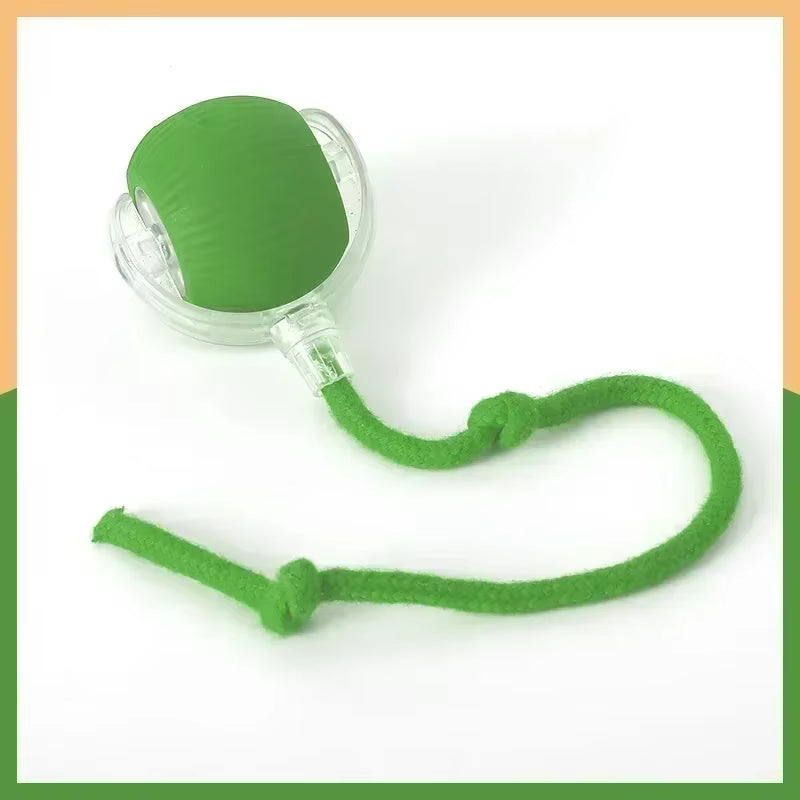 Interactive Rolling Pet Toy – Electric Tail Ball