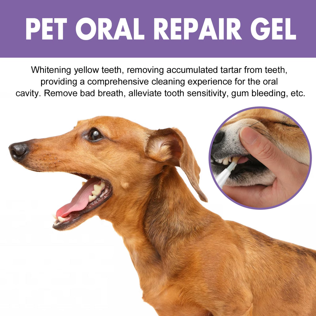 Pet Teeth Cleaning Gel – Tartar & Odor Remover