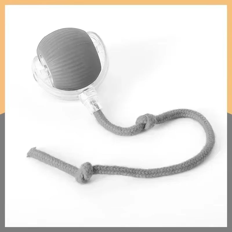 Interactive Rolling Pet Toy – Electric Tail Ball