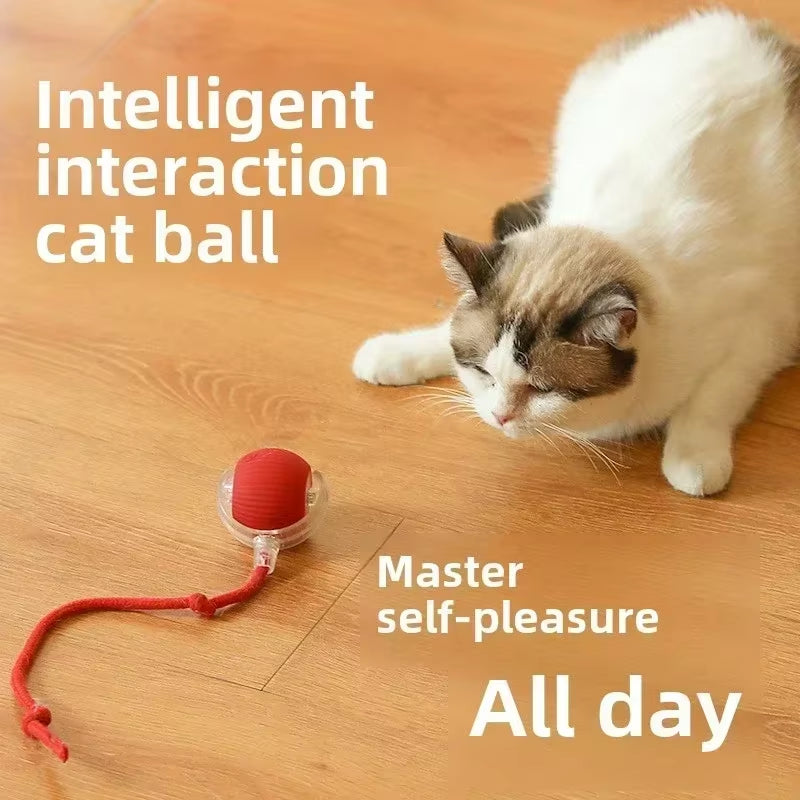 Interactive Rolling Pet Toy – Electric Tail Ball