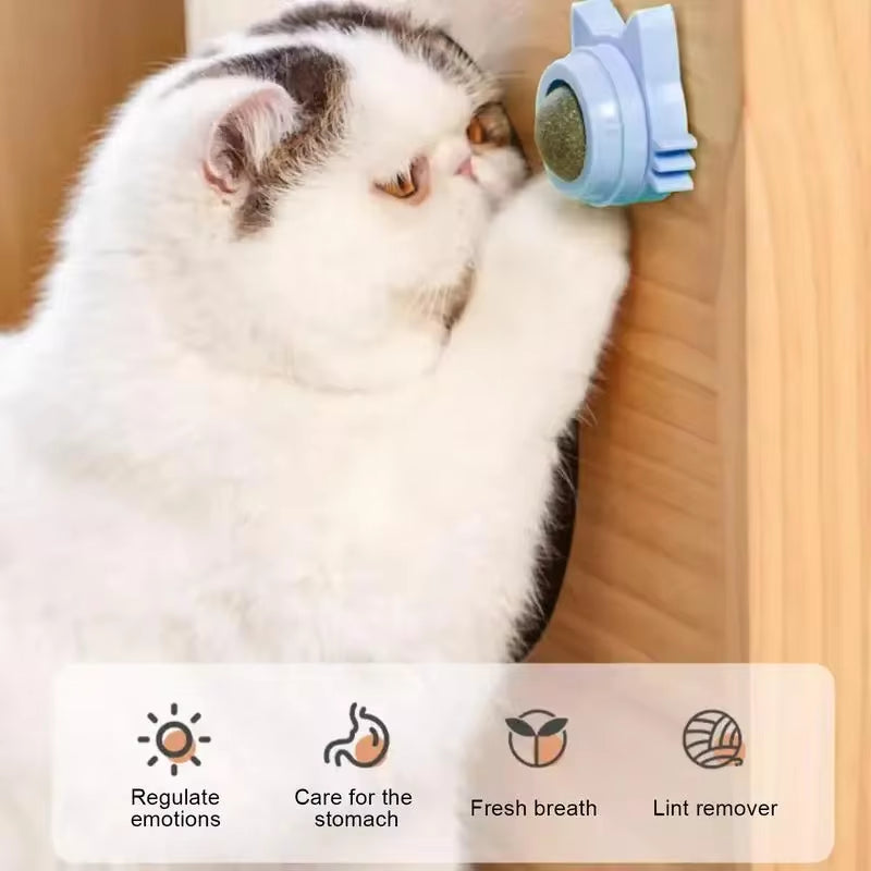 Interactive Catnip Balls for Small & Medium Cats