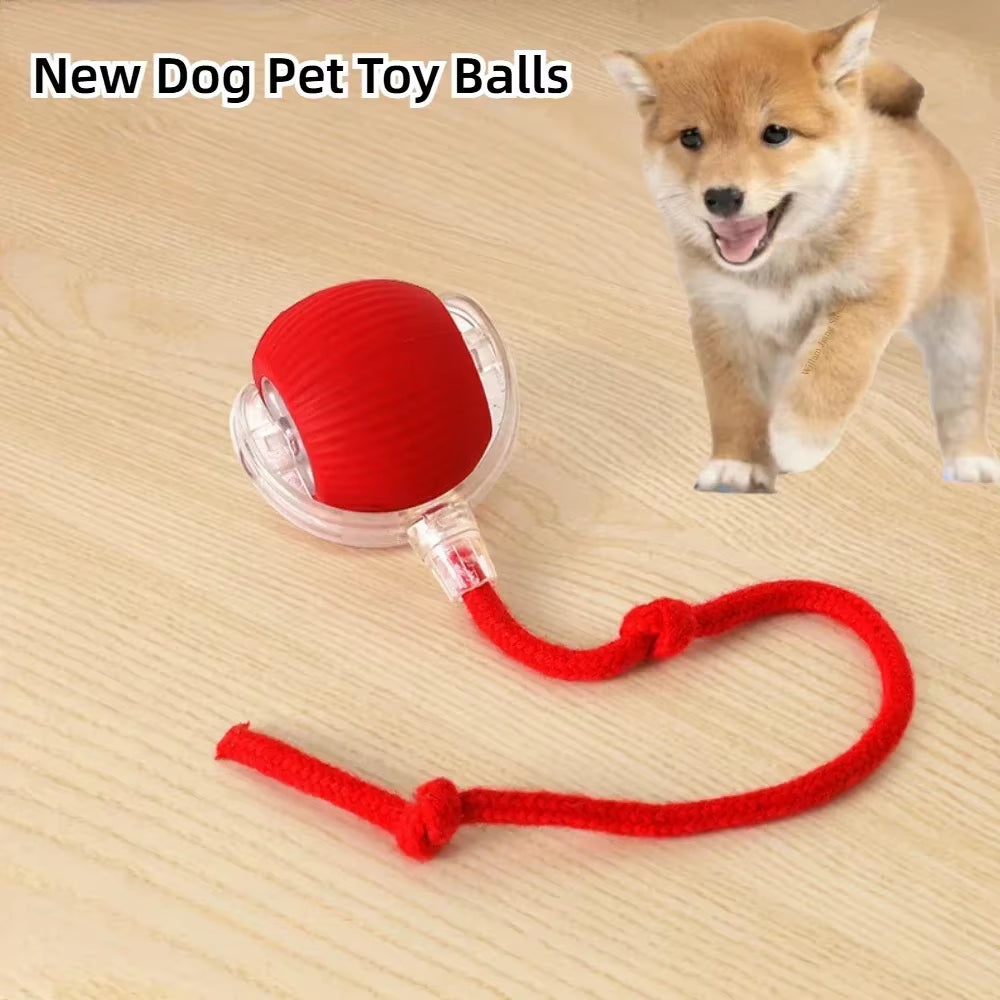 Interactive Rolling Pet Toy – Electric Tail Ball