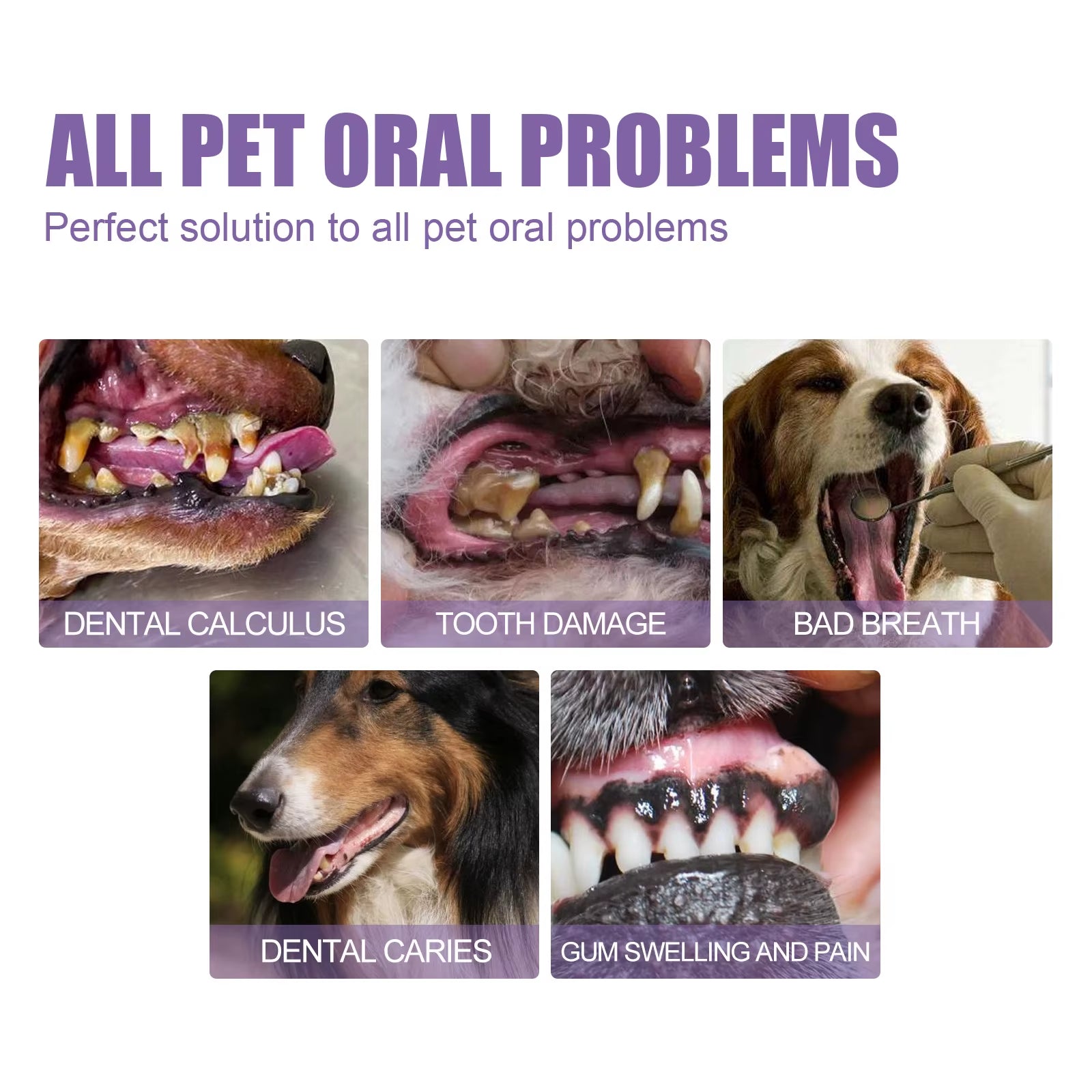Pet Teeth Cleaning Gel – Tartar & Odor Remover