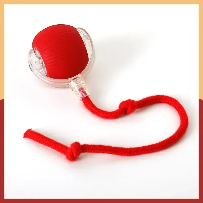 Interactive Rolling Pet Toy – Electric Tail Ball