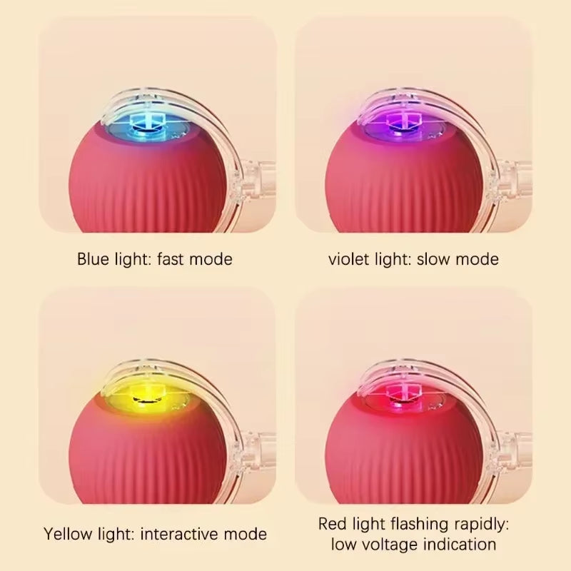 Interactive Rolling Pet Toy – Electric Tail Ball