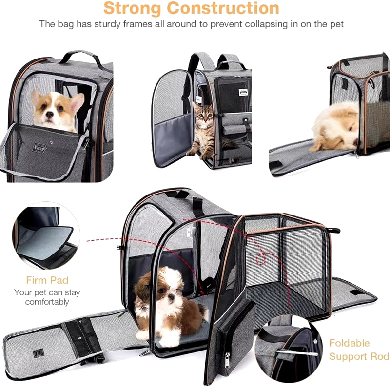 Expandable Pet Backpack for Cats & Puppies